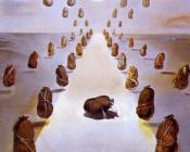 萨尔瓦多 达利 : 奥秘的路径(第二版)